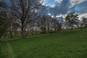 Wanderweg Utenbacher Schweiz