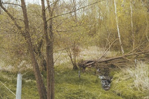 Utenbacher Schweiz