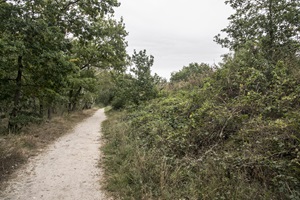 Wanderweg Velpker Schweiz