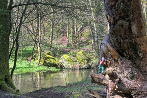 Vogtländer Schweiz