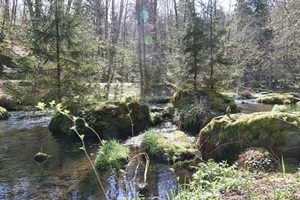Vogtländer Schweiz an der Trieb