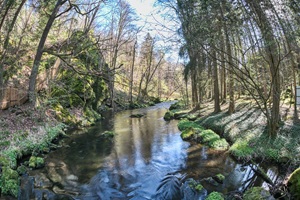 Trieb in der Vogtländer Schweiz