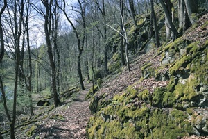 Wanderweg Vogtländer Schweiz Weiße Elster