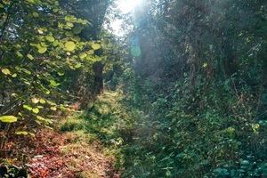Wanderweg Vorwerker Schweiz