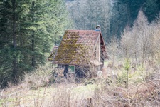 Waldhaus Waldeckische Schweiz