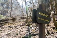 Burgpfad Burg Lichtenfels