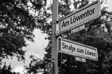 Straße zum Löwen Colonie Alsen
