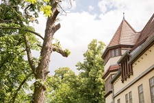 Villa Colonie Alsen