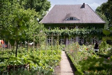 Liebermann Villa Wansee Schweiz