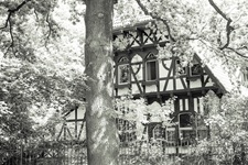 Villa Alsen
