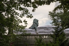 Löwe Colonie Alsen