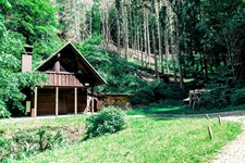 Waldhütte Einsal Westfälische Schweiz