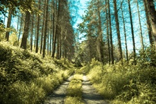 Wanderweg Einsal Nachrodt