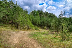 Wanderweg Wiesenthaler Schweiz