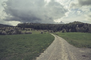 Wiesenthaler Schweiz