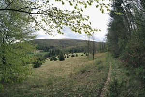 Wanderweg Wiesenthaler Schweiz