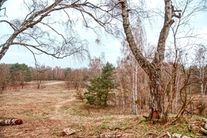 Woltersdorfer Schweiz - 16.03.2024