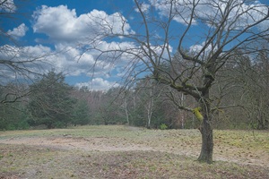 Fuchsberge Woltersdorf