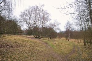 kleine Schwyz