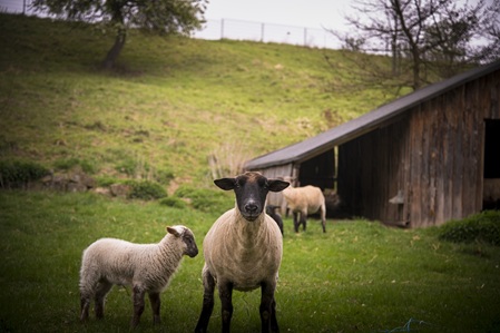Utenbacher Schweiz - 18.04.2025