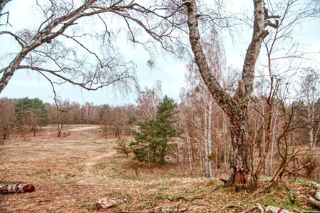 Woltersdorfer Schweiz - 16.03.2024